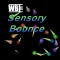 WBI Sensory Bounce