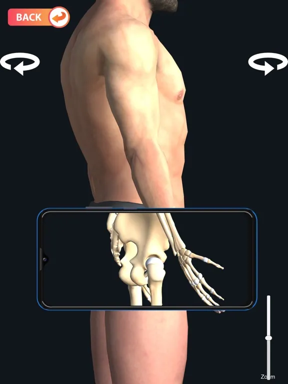 Tangkapan skrin X-ray Body Scanner Game iPad 