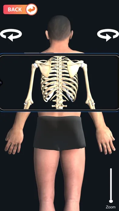 Tangkapan skrin X-ray Body Scanner Game