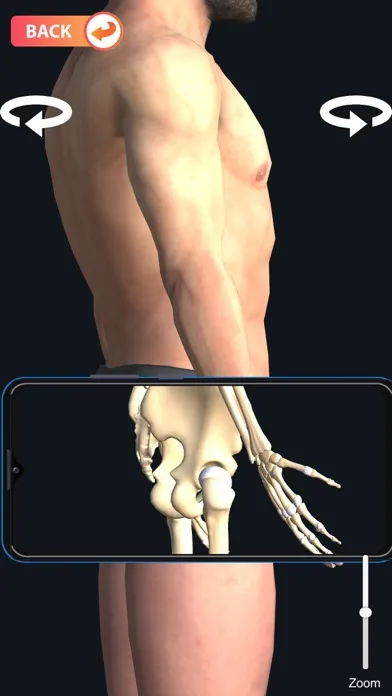 Tangkapan skrin X-ray Body Scanner Game