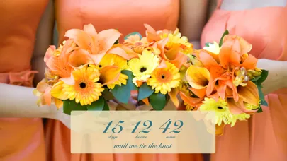 Capturas de pantalla de Wedding Countdown