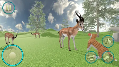 Cat Simulator Animal Life Game سکرین شاٹس