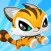 Dash Tag