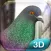 Pigeon Simulator