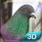 Pigeon Simulator