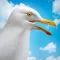 Seagull Simulator