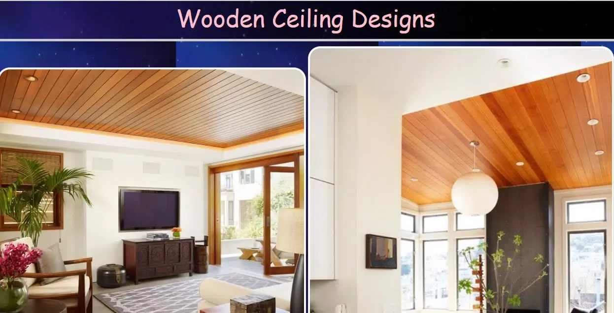 Wooden Ceiling Designs应用截图
