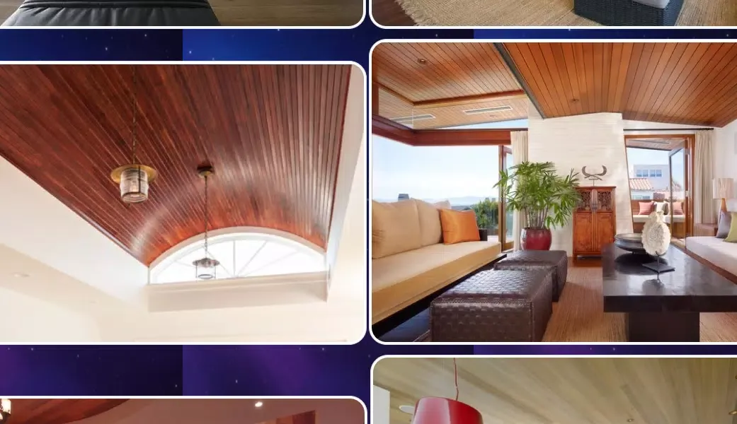Wooden Ceiling Designs应用截图