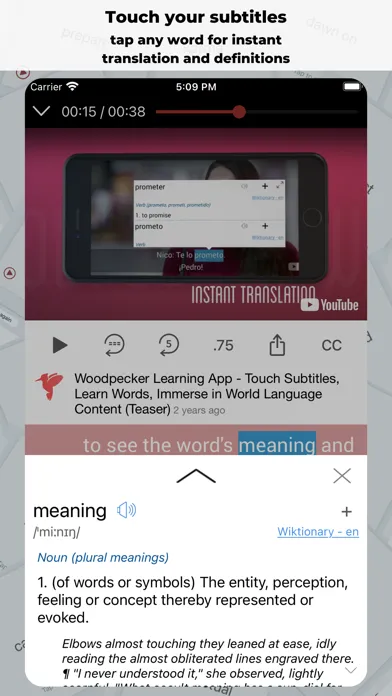 Woodpecker - Language Learning Screenshots