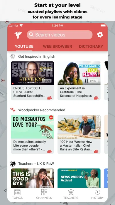 Woodpecker - Language Learning Screenshots