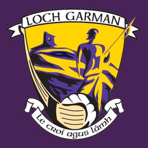 Wexford GAA