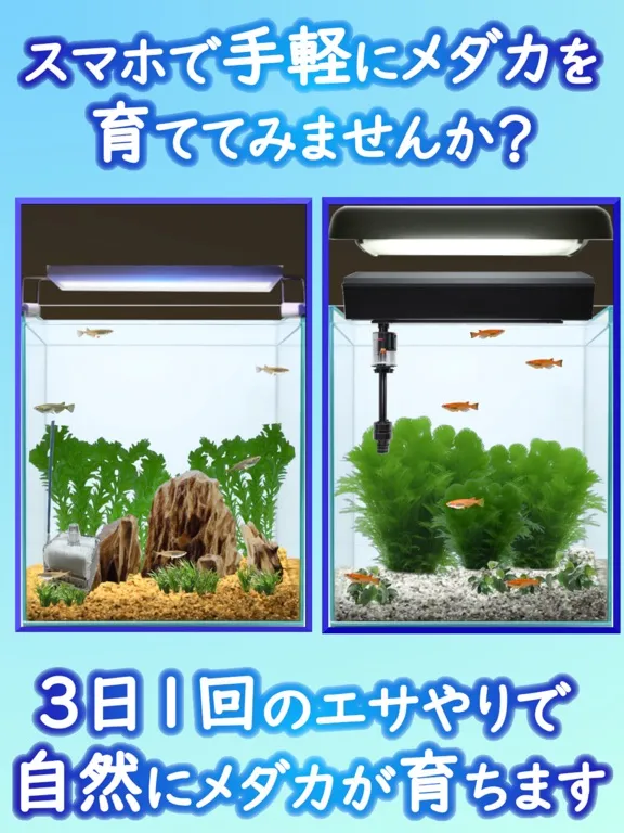 Medaka Aquarium Breeder iPad  স্ক্রিনশট