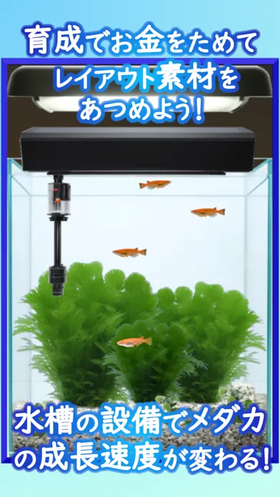 Medaka Aquarium Breeder স্ক্রিনশট