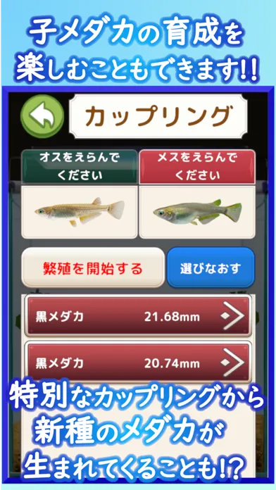 Medaka Aquarium Breeder স্ক্রিনশট
