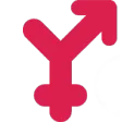 Yareel 2.0