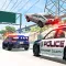 Police Destruction Simulator