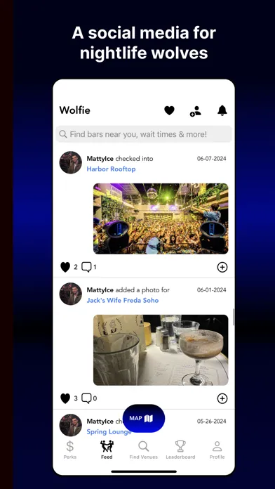 Wolfie - Night Life Screenshots