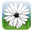 Daisy Game