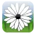 Daisy Game