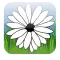 Daisy Game