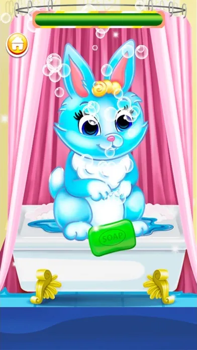 تصاویر Pet wash.