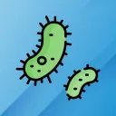 Bacteria