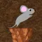 Mouse Escape