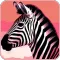 Zebra Wallpapers