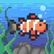 Fishy Watch Fishy Watch
