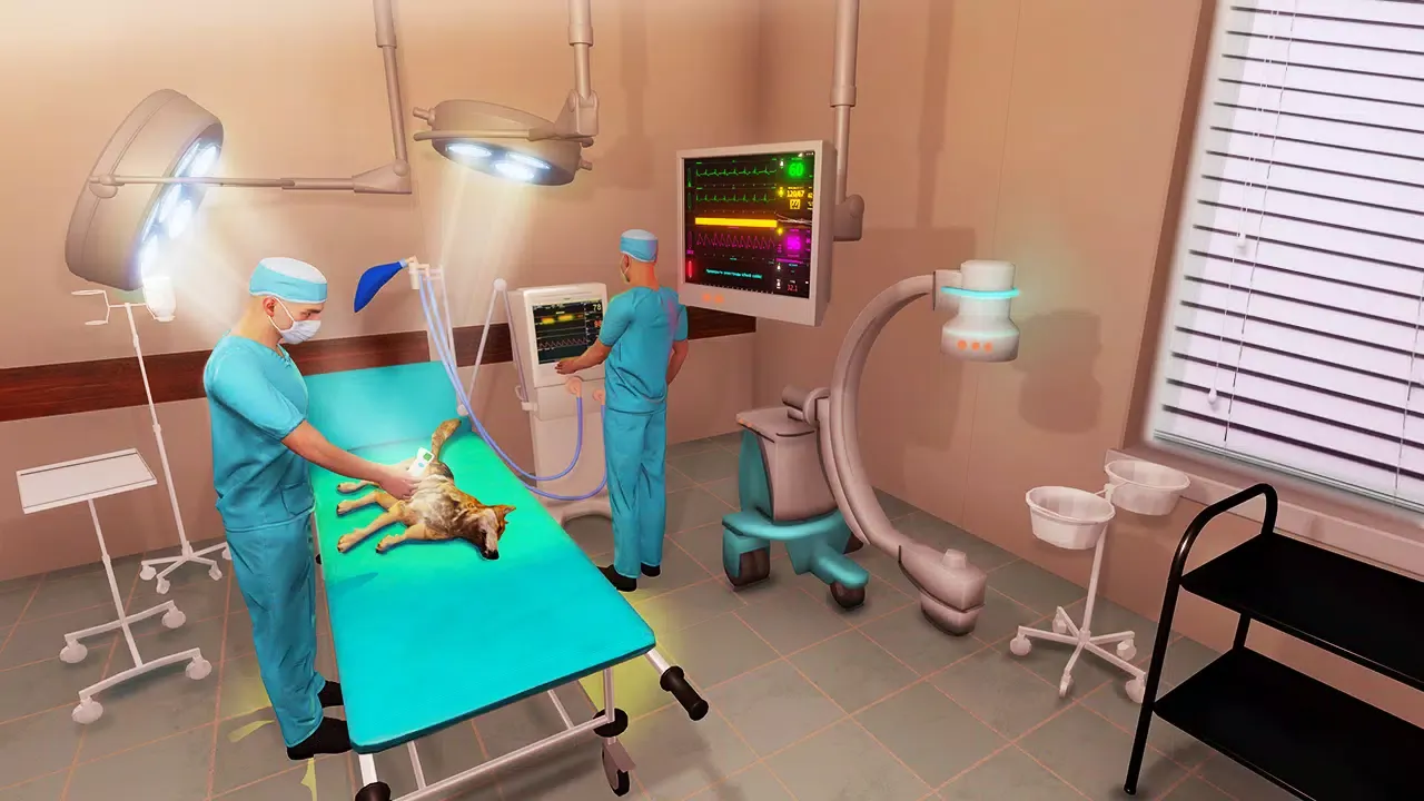 Pet Vet Doctor Animal Hospital应用截图