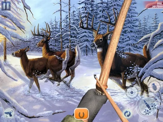 تصاویر Ottoman Horse Simulation iPad 