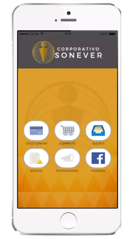 Captures d'écran de Corporativo Sonever