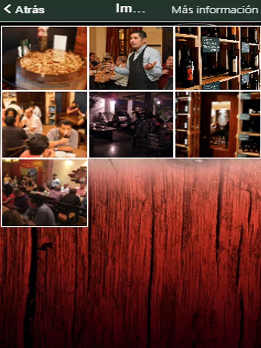 Vinos Van Eyck iPad 应用截图