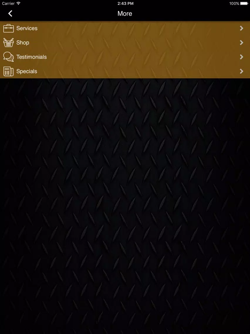 AutoLiftDealer iPad  스크린샷