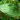 Organic Skin Care Secrets