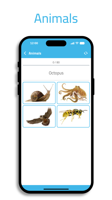 Kids Quizzes. Screenshots