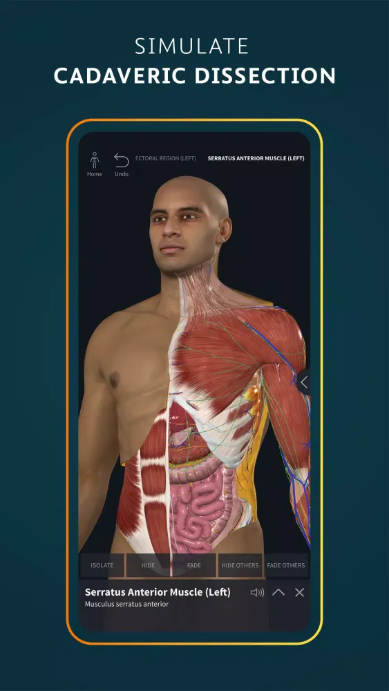 Complete Anatomy應用截圖