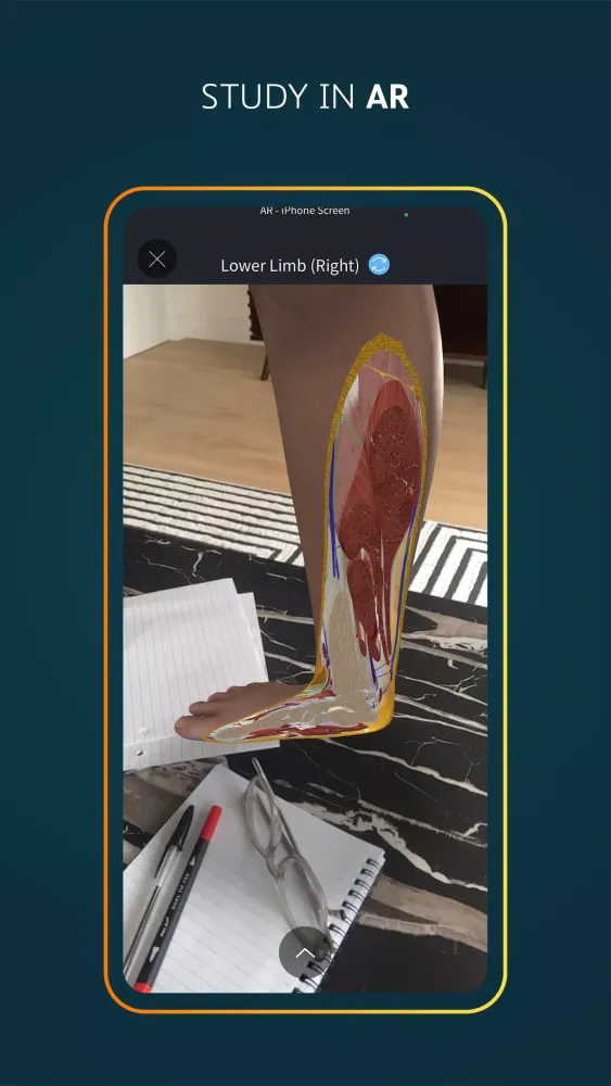 Complete Anatomy應用截圖