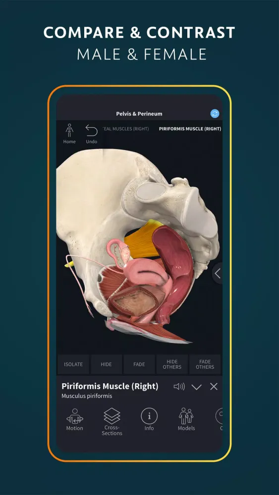 Complete Anatomy應用截圖