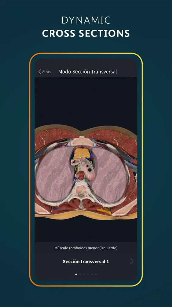 Complete Anatomy應用截圖
