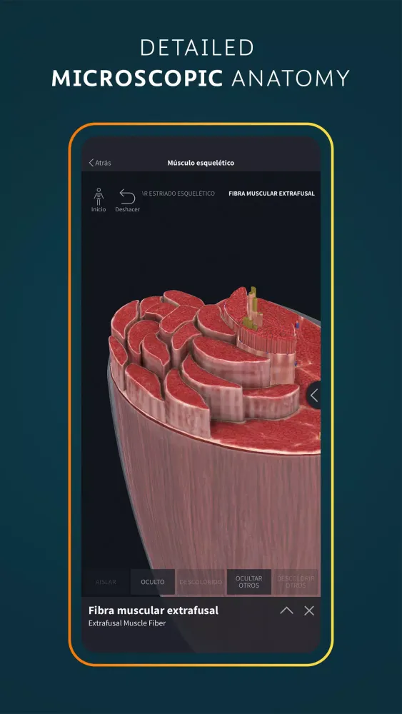 Complete Anatomy應用截圖