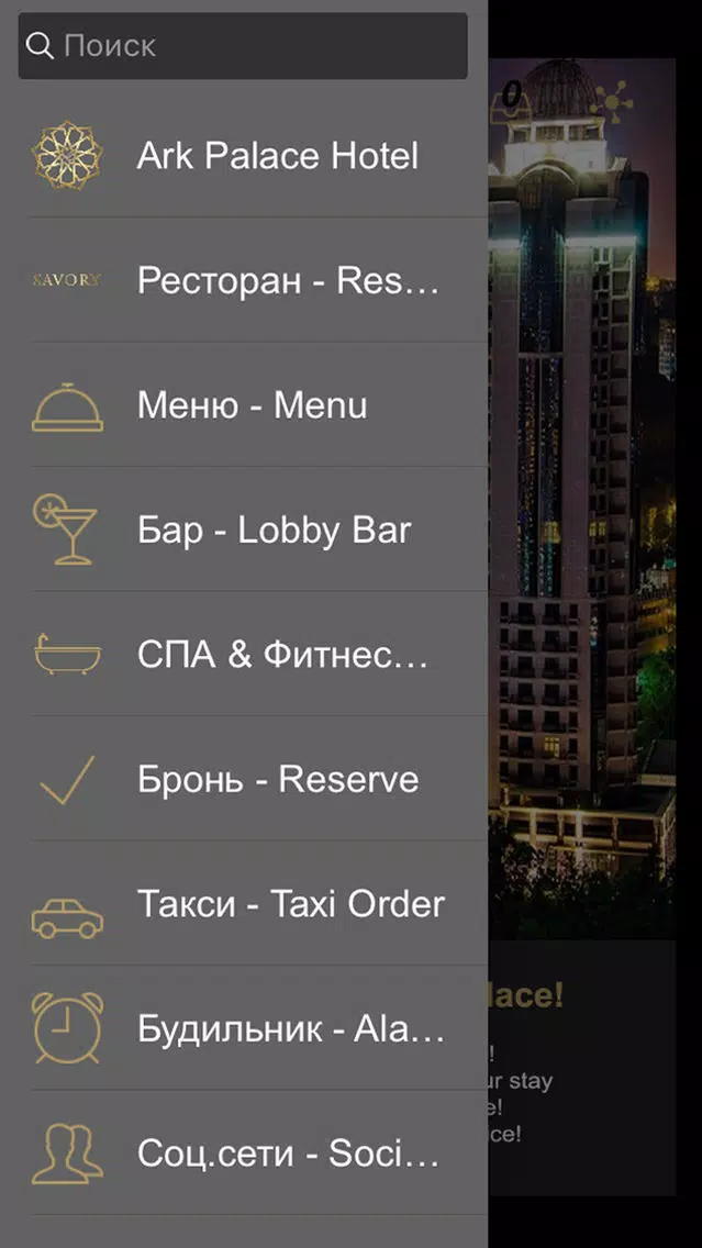 Tangkapan skrin Ark Palace Hotel, Odessa