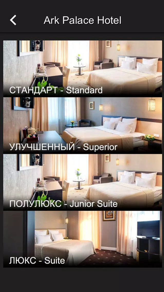 Tangkapan skrin Ark Palace Hotel, Odessa