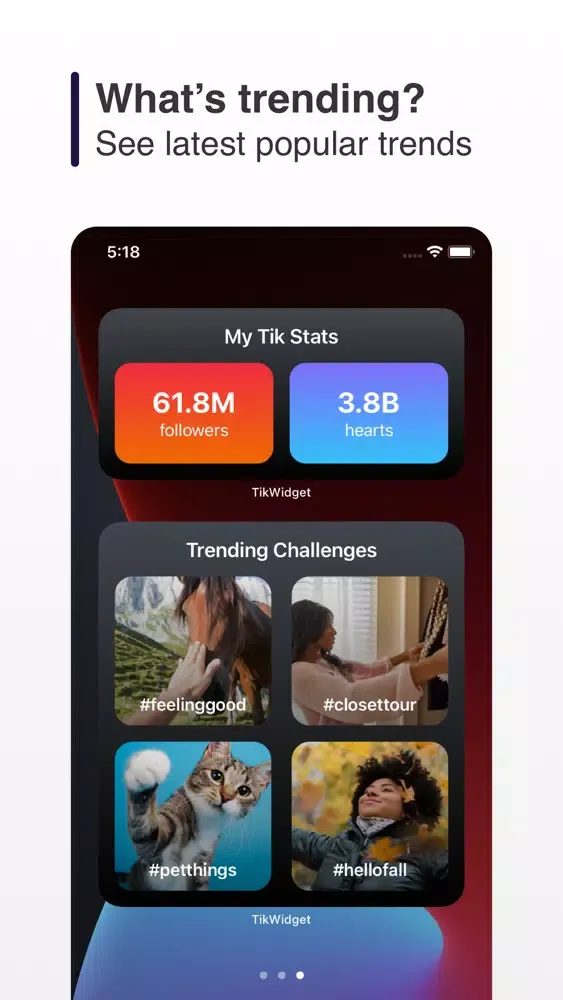 Capturas de pantalla de Tik Widget