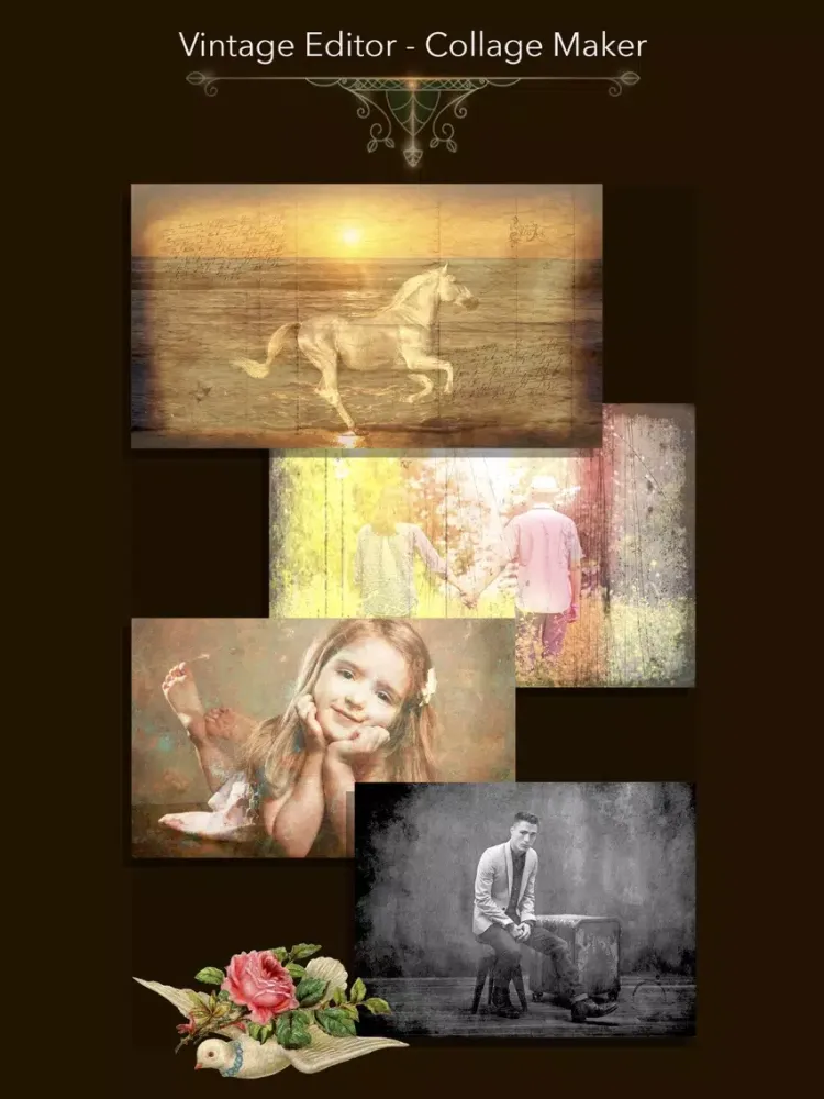 Vintage Editor - Collage Maker iPad  Screenshots