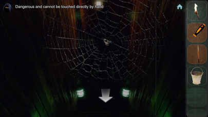 Escape Room ChallengeBrave Pro Screenshots