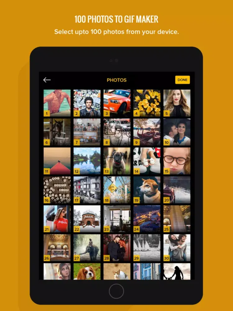 100 Photos to GIF Maker GIFs iPad  Ekran Görüntüleri