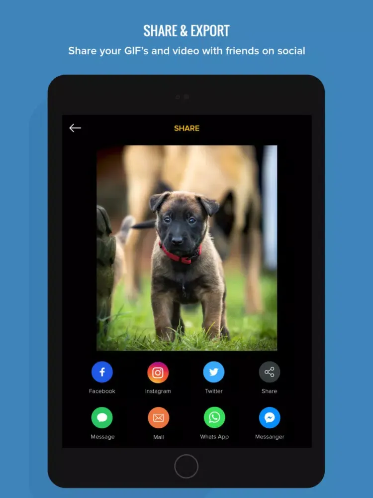 100 Photos to GIF Maker GIFs iPad  Ekran Görüntüleri