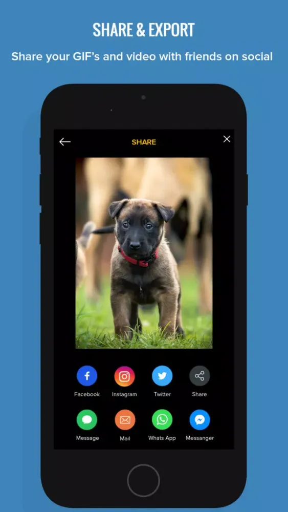 100 Photos to GIF Maker GIFs Ekran Görüntüleri