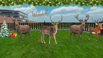 Animal Shelter 3D Safari Zoo应用截图
